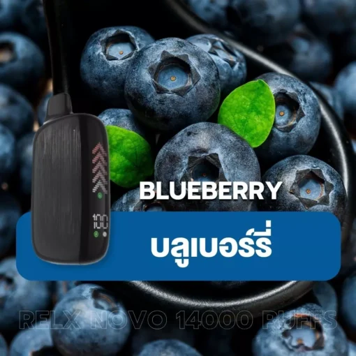 relx novo 14000 puff Blueberry